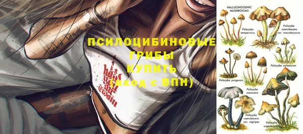 mdpv Вяземский