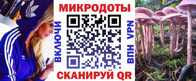 Псилоцибиновые грибы Psilocybe  Гаврилов-Ям 